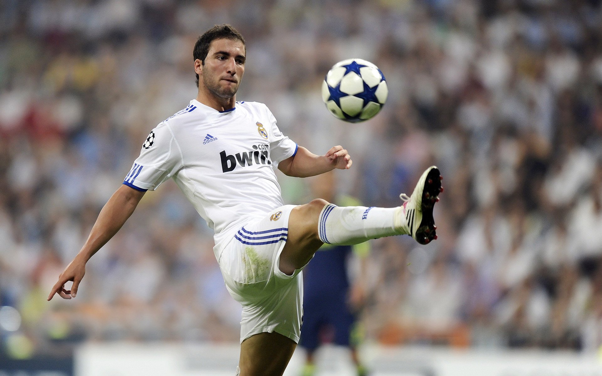 奥康纳在袋鼠队的角色逐渐稳固，成为球队攻防核心，奥康纳斯诺克简介